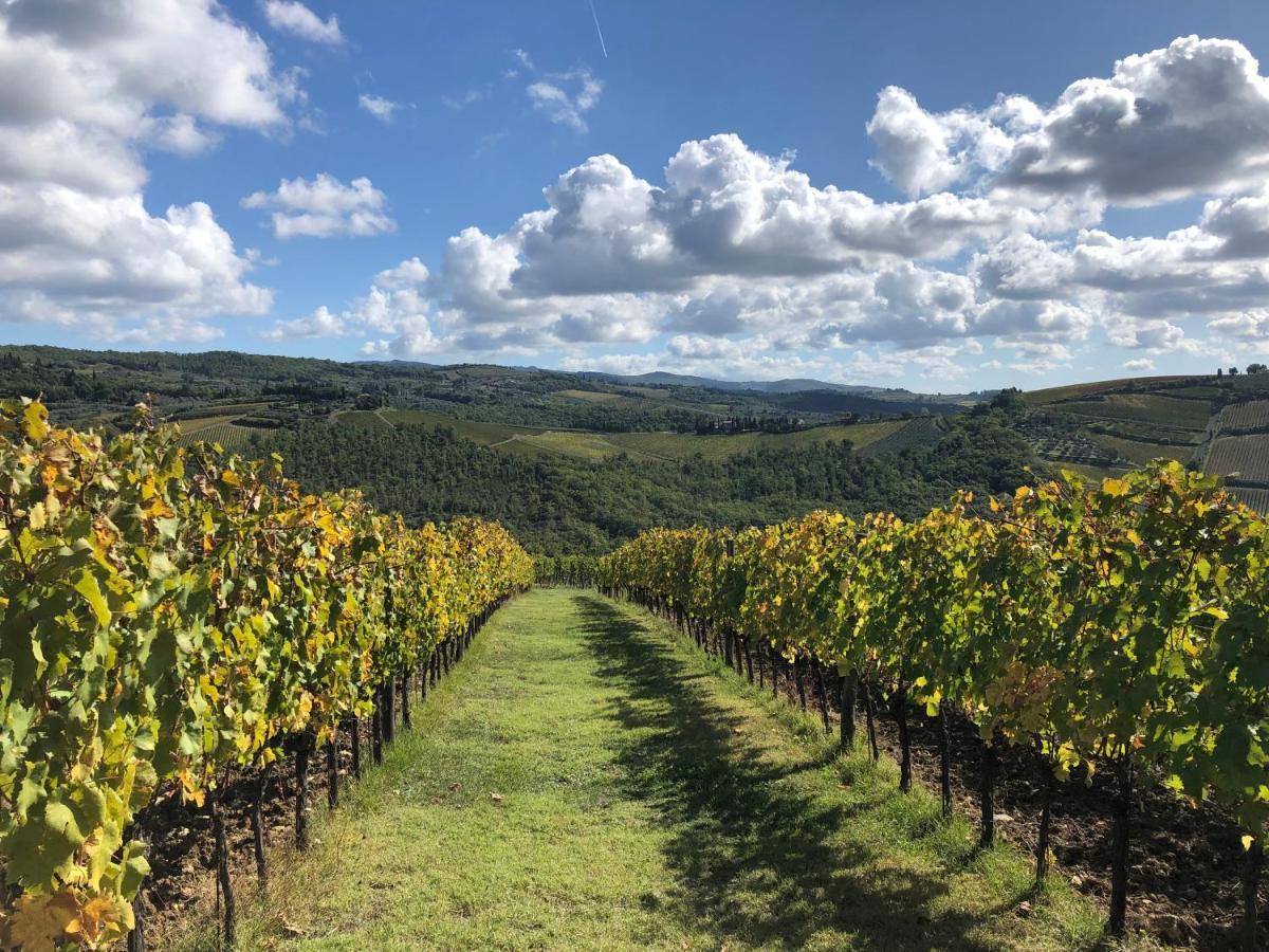 Fattoria Di Rignana Winery Bnb Greve in Chianti Eksteriør billede