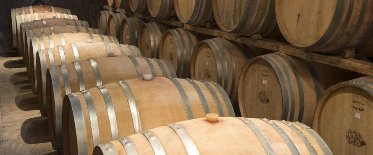 Fattoria Di Rignana Winery Bnb Greve in Chianti Eksteriør billede
