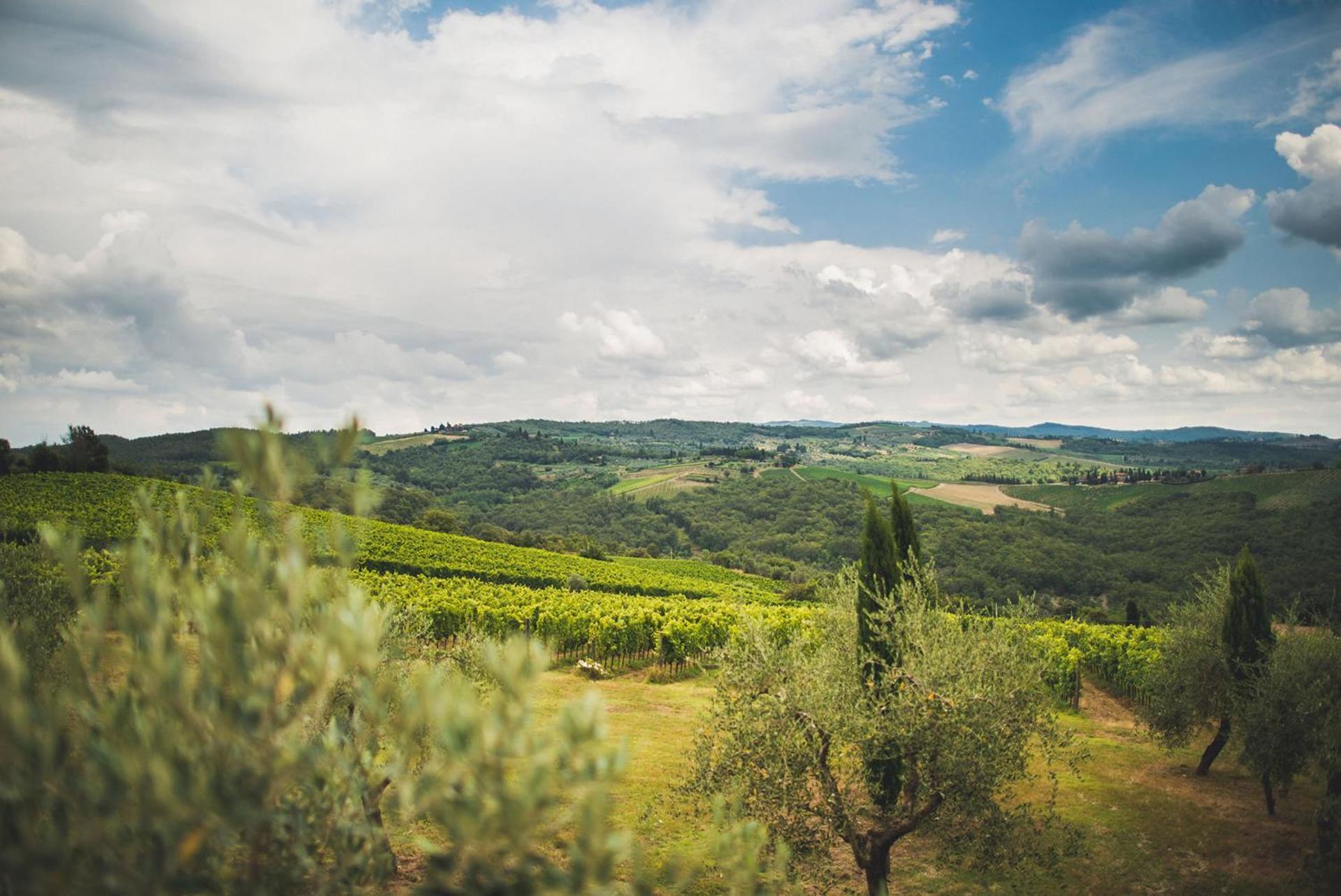 Fattoria Di Rignana Winery Bnb Greve in Chianti Eksteriør billede