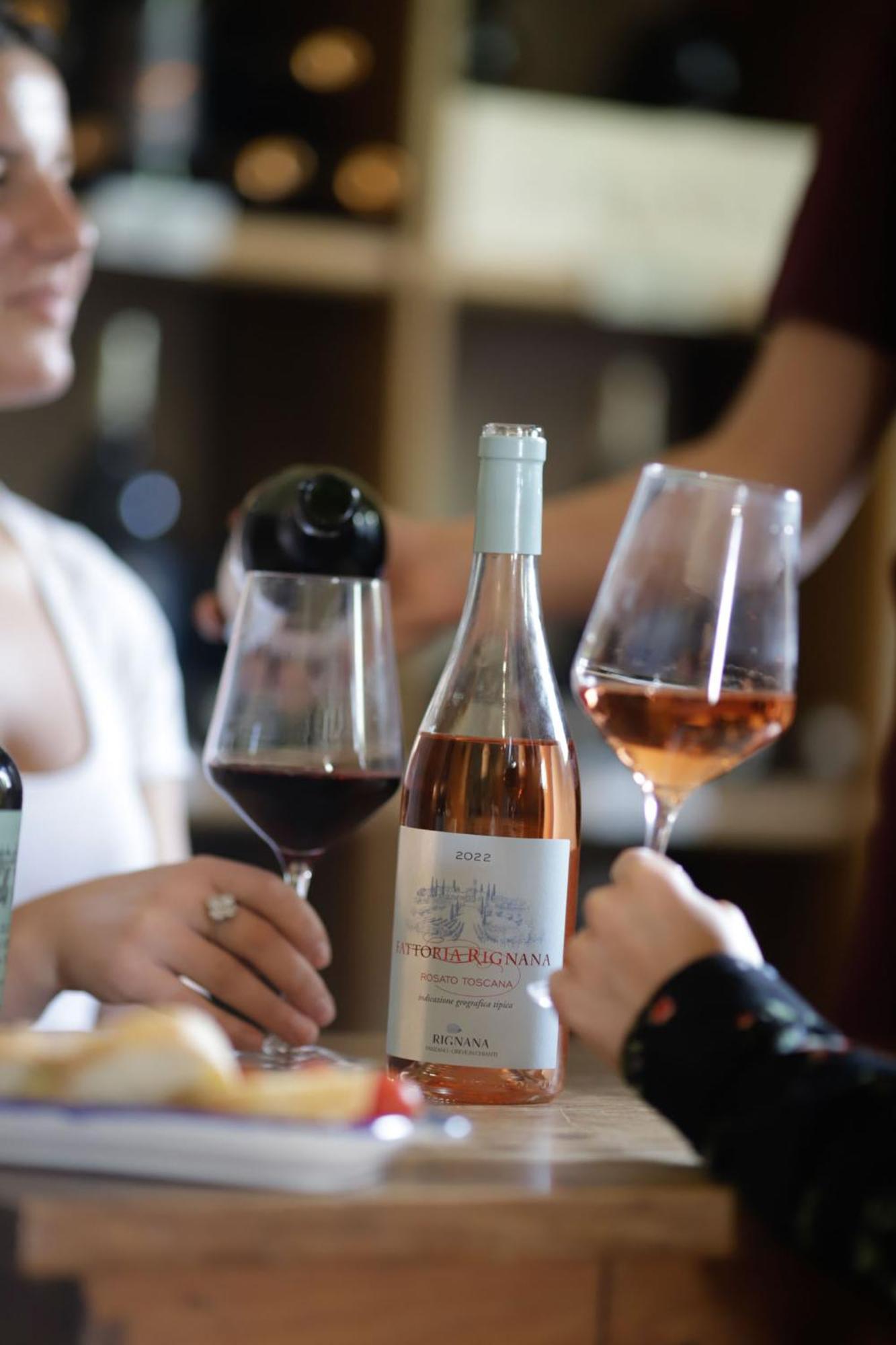 Fattoria Di Rignana Winery Bnb Greve in Chianti Eksteriør billede