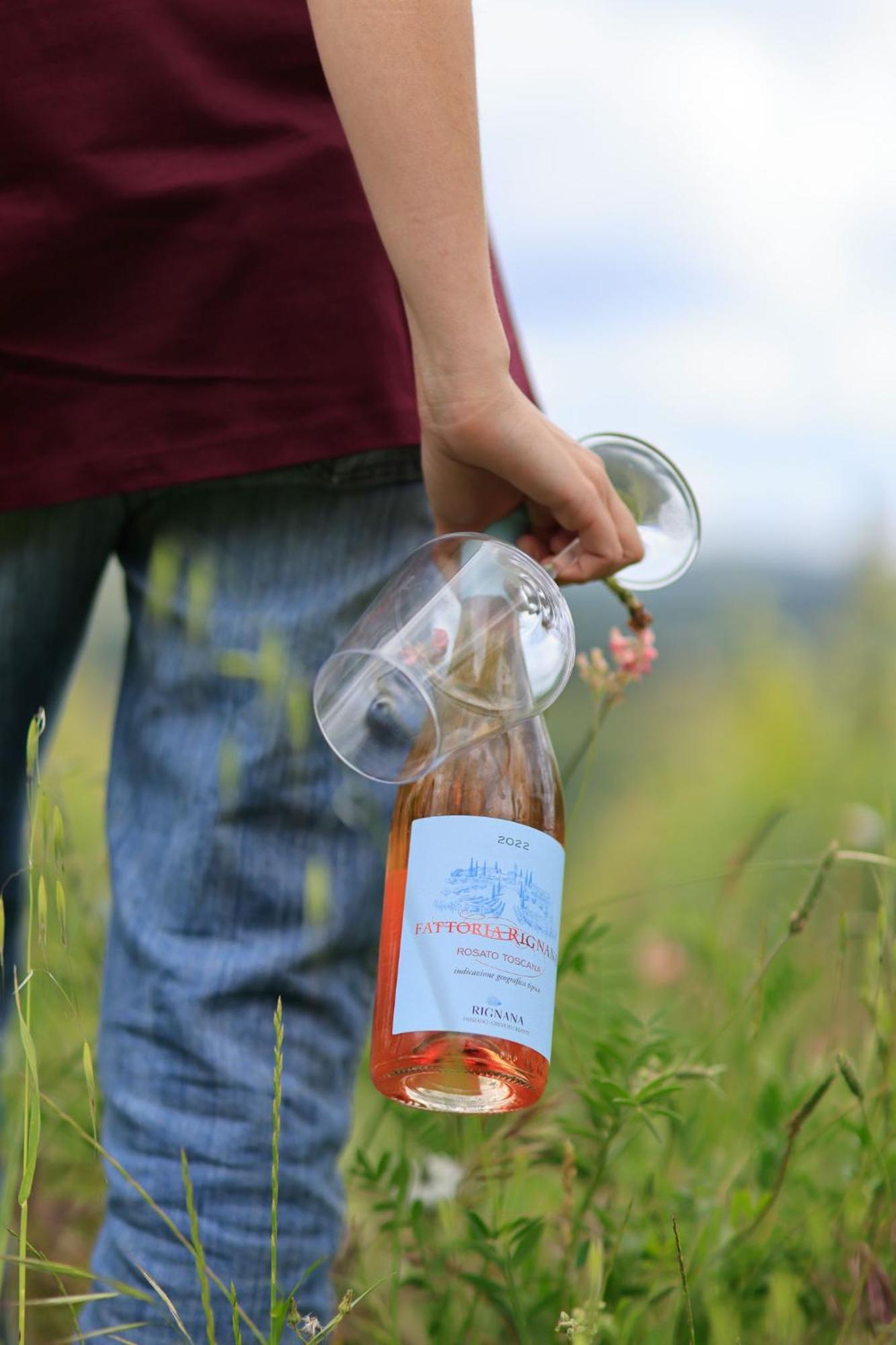 Fattoria Di Rignana Winery Bnb Greve in Chianti Eksteriør billede